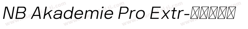 NB Akademie Pro Extr字体转换